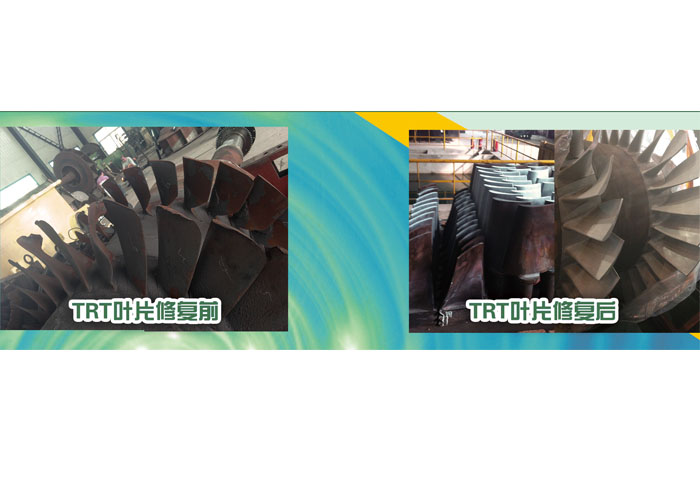 TRT葉片修復 前、后
